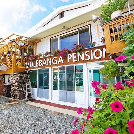 Osakae Anteo Mulraebang-A Pension Yangyang Exteriör bild